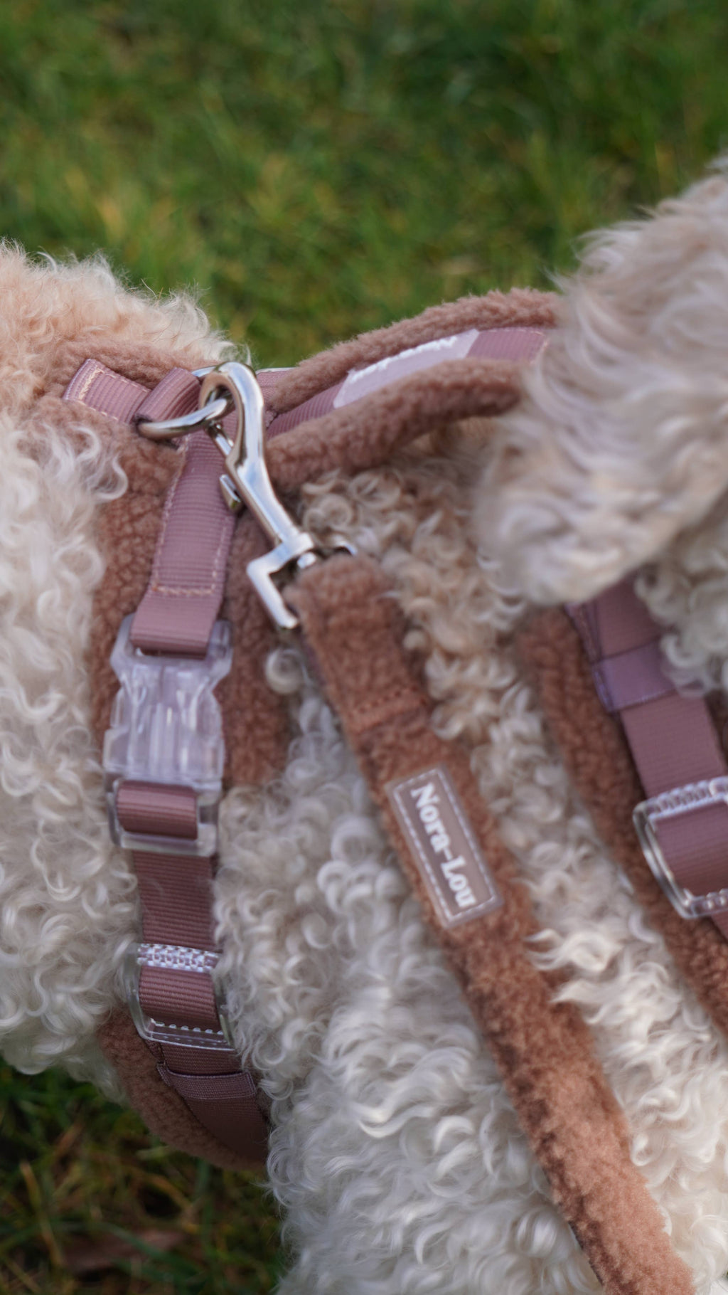 Nora-Lou Leiband Teddy Bruin