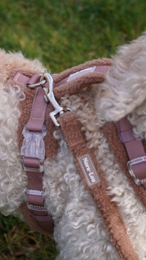 Teddy Y-Harnas  van nora lou