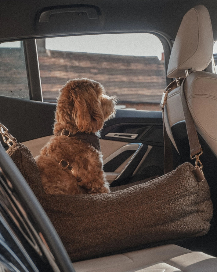 Boucle autostoel teddy