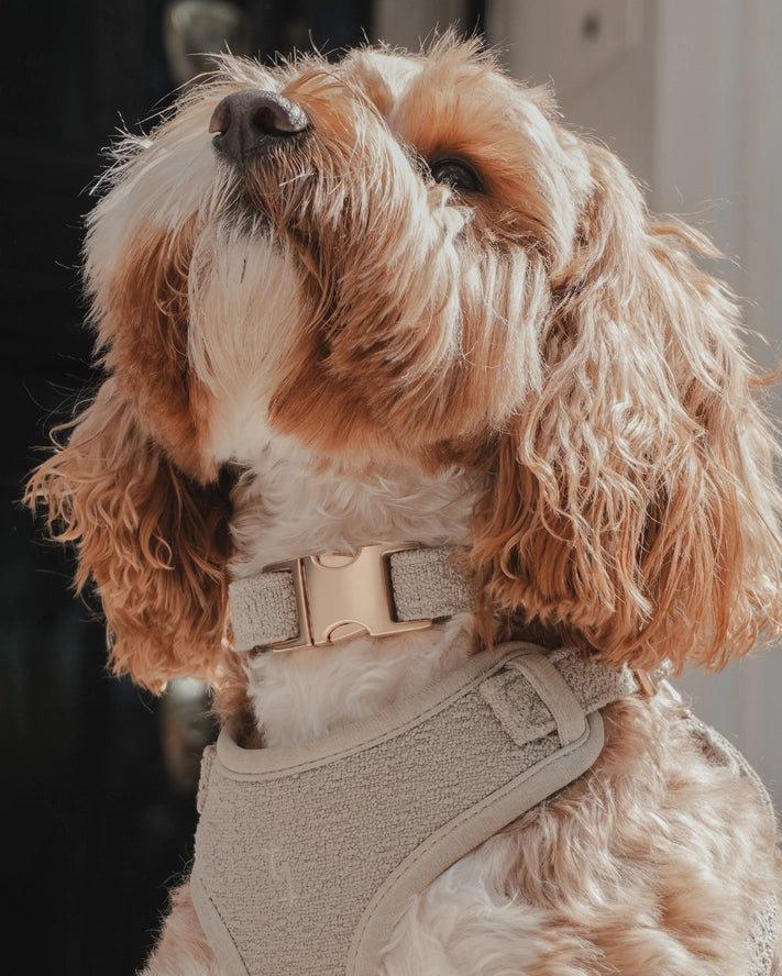 Matcha bouclé halsband