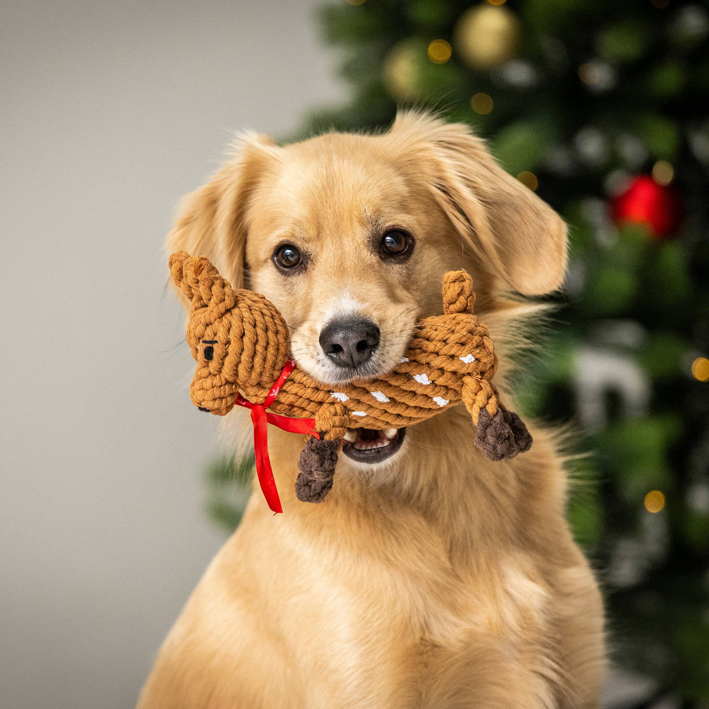 Kauwspeelgoed Rudolf groot