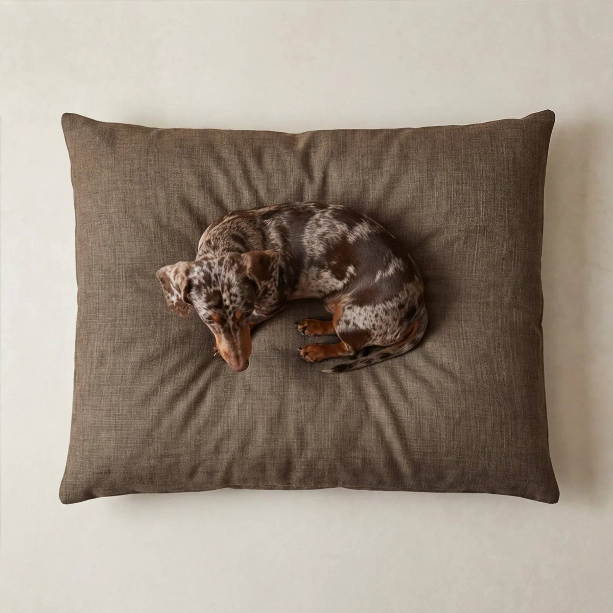 Hondenbed bruin
