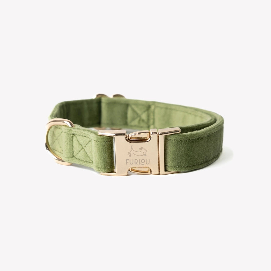 Groene fluwelen halsband