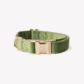 Groene fluwelen halsband