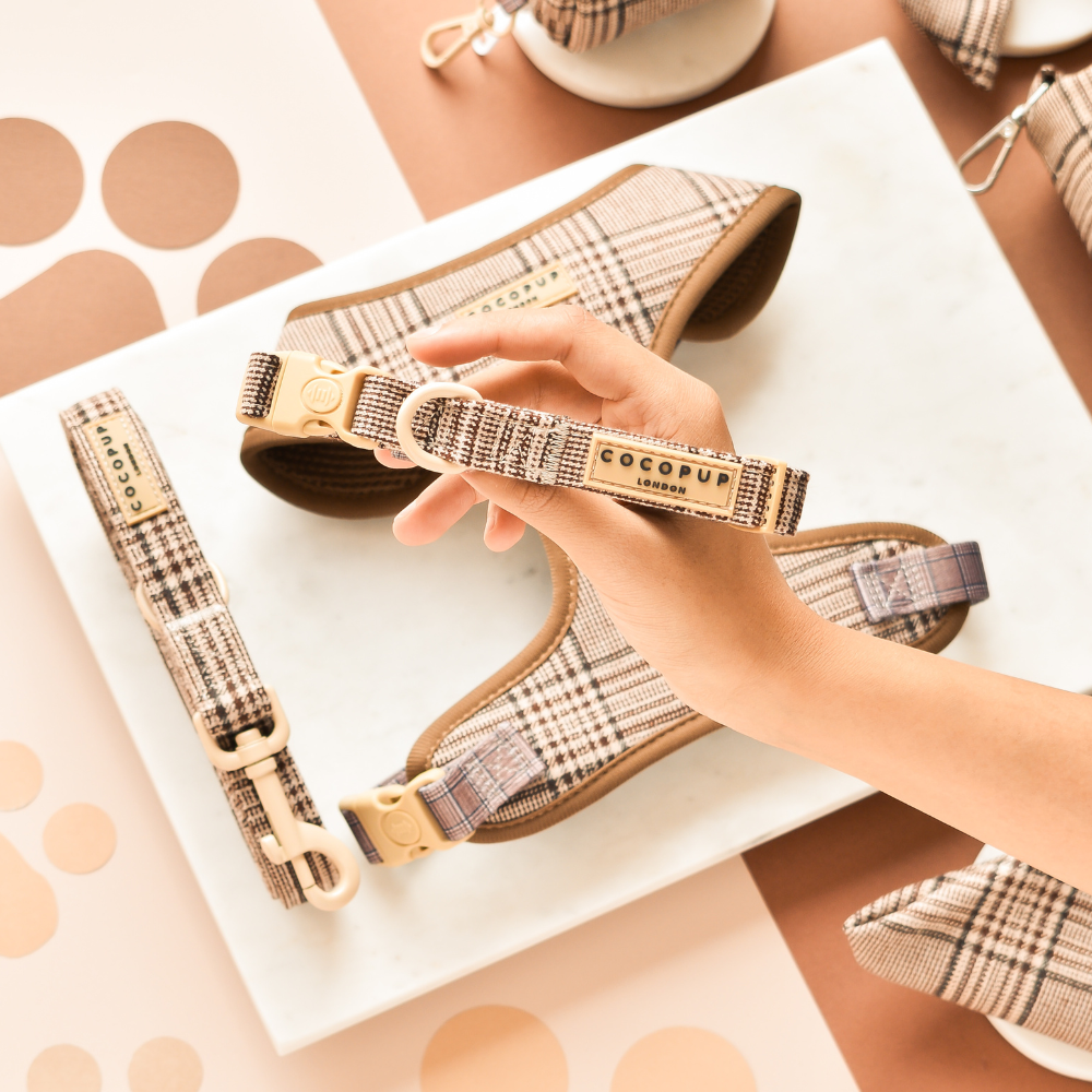 Cocopup plaid halsband