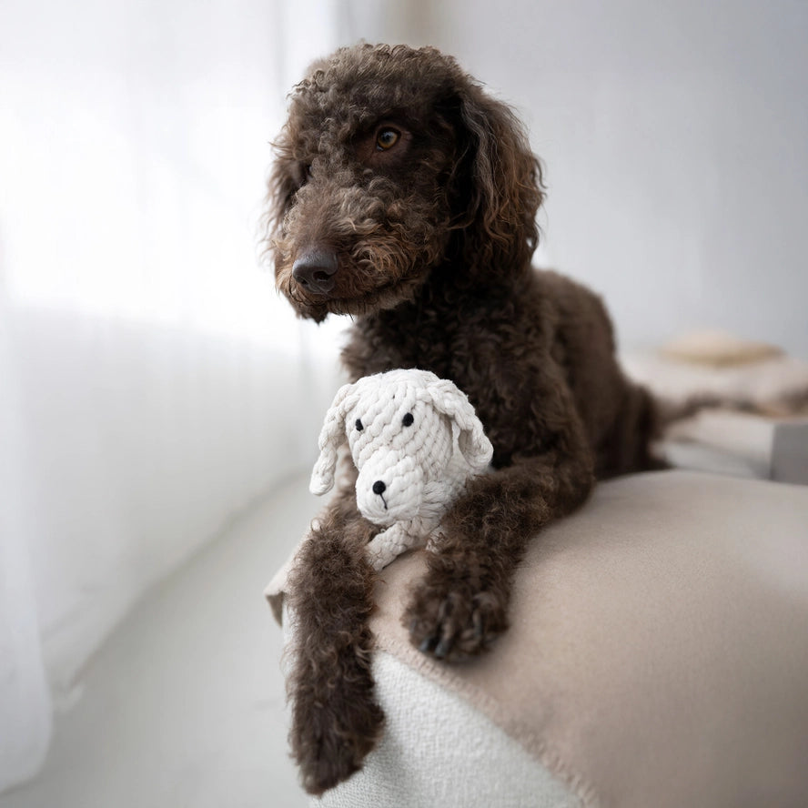 Kauwspeelgoed bobby de retriever