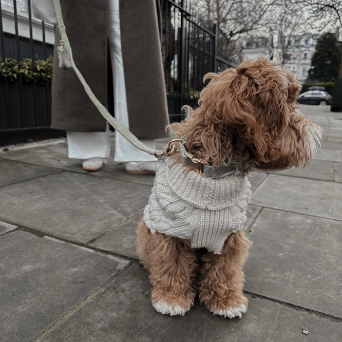 Matcha bouclé halsband