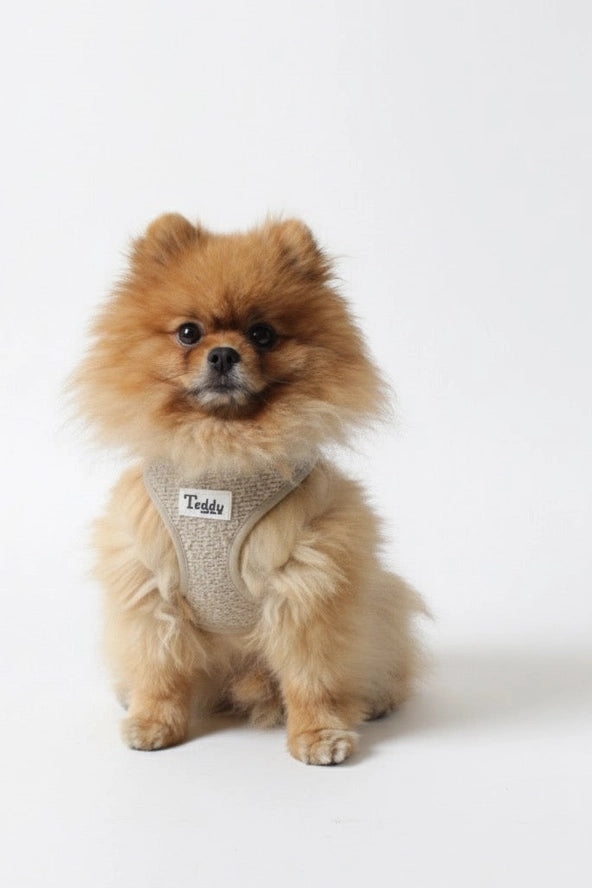 Teddy tuigje beige