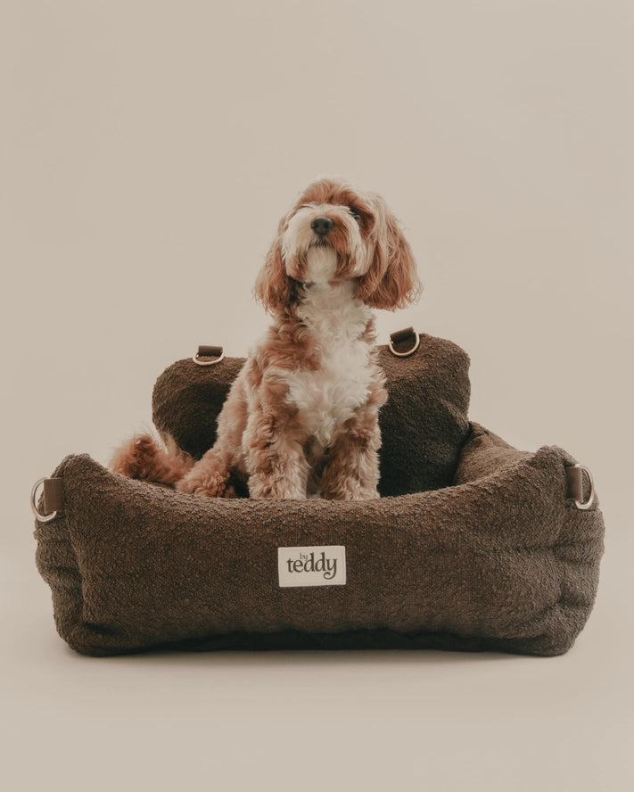 Boucle autostoel teddy