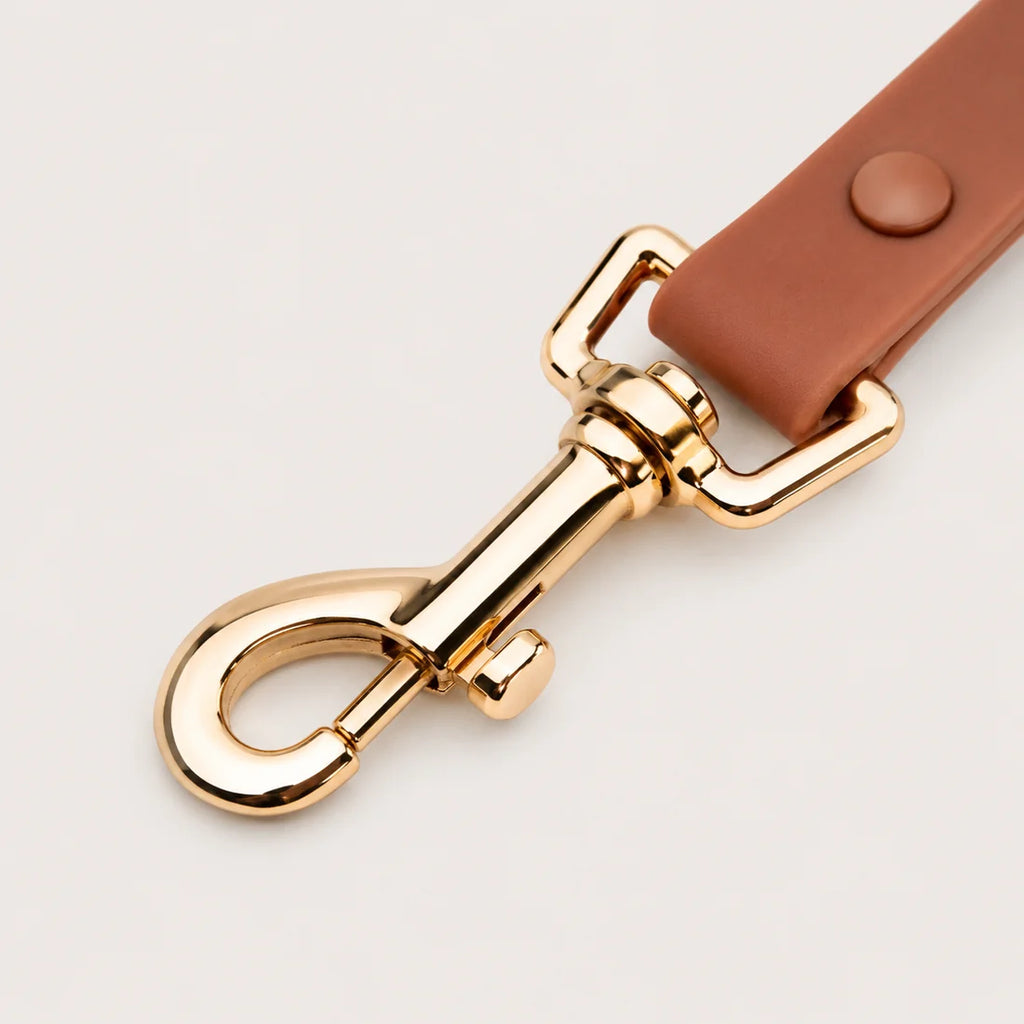 Mocha mousse waterproof hondenriem