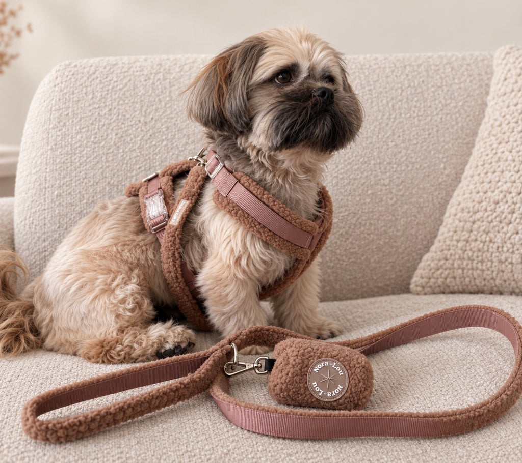 Nora-Lou Leiband Teddy Bruin