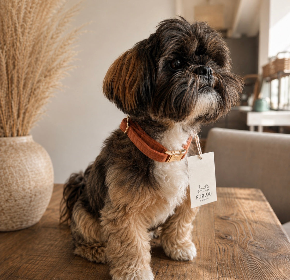 Klei fluwelen halsband