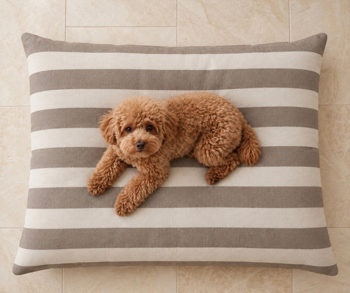 Hondenbed milo