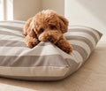 Hondenbed milo