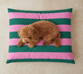 Hondenbed Copo