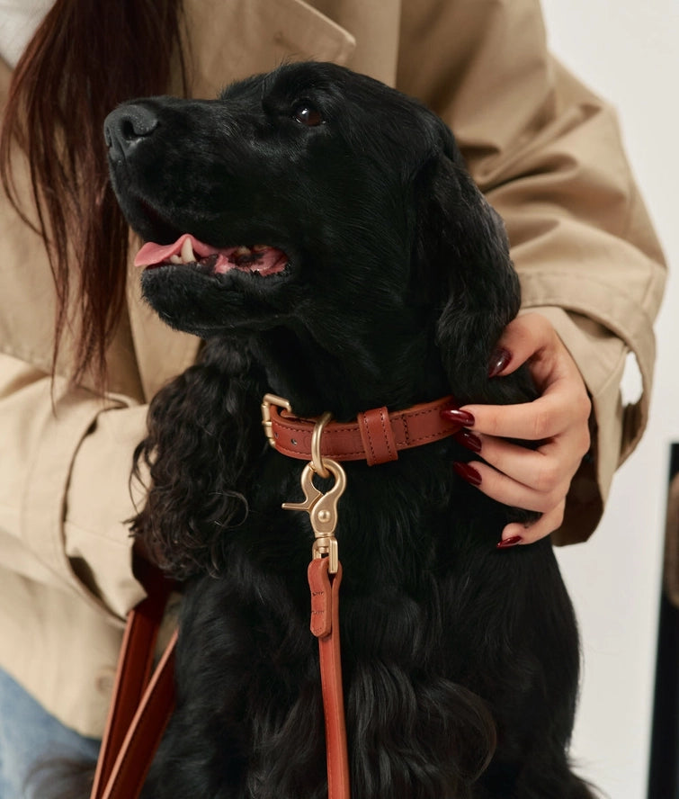 Bruine halsband Jala