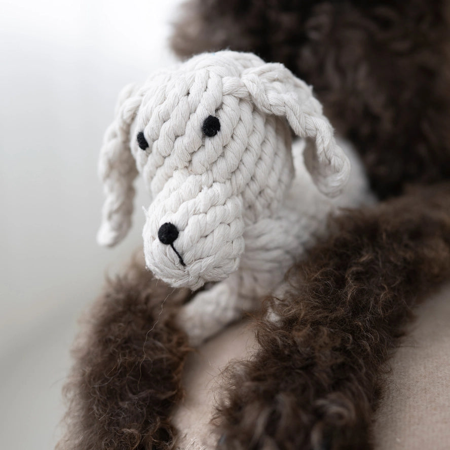 Kauwspeelgoed bobby de retriever