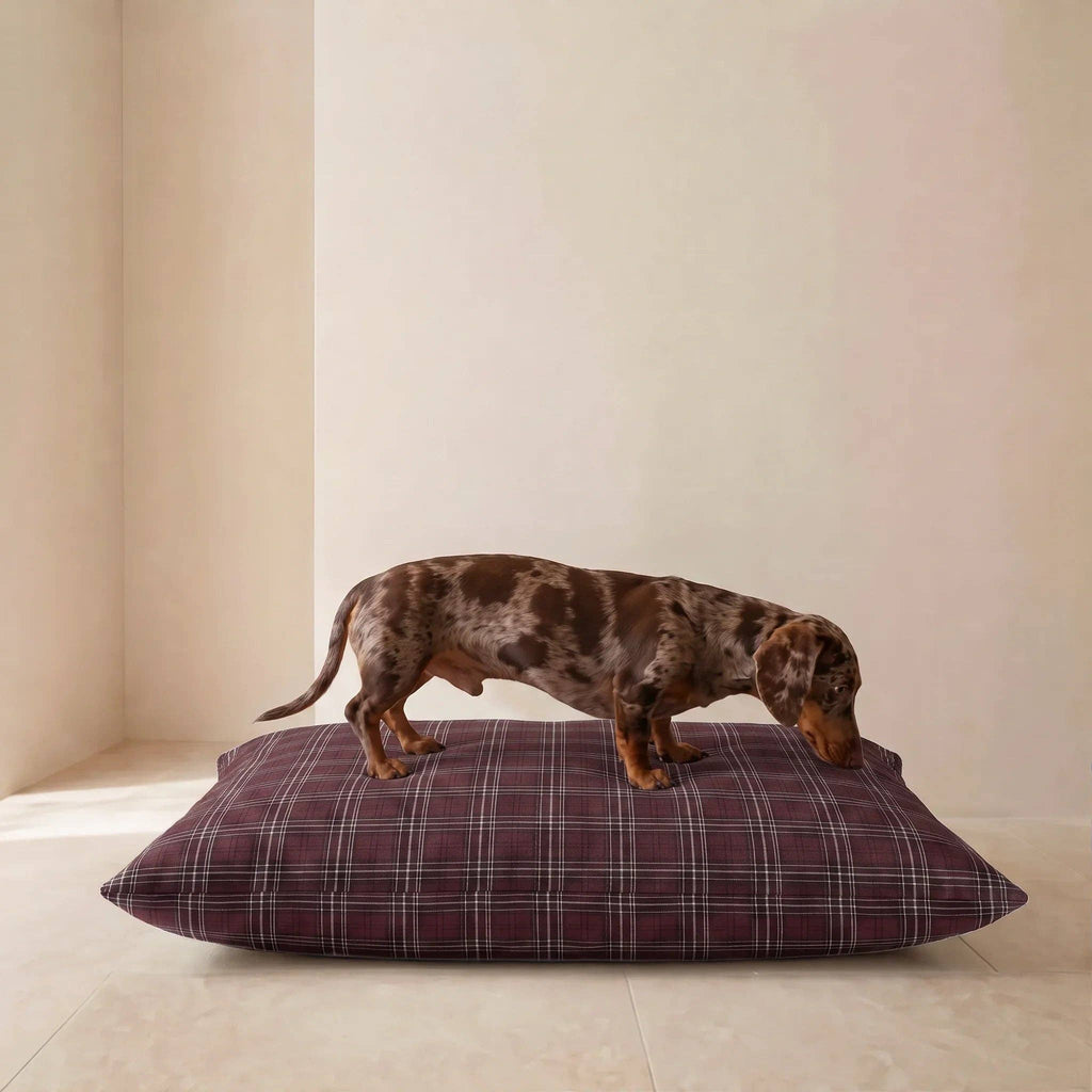 Hondenbed Borro