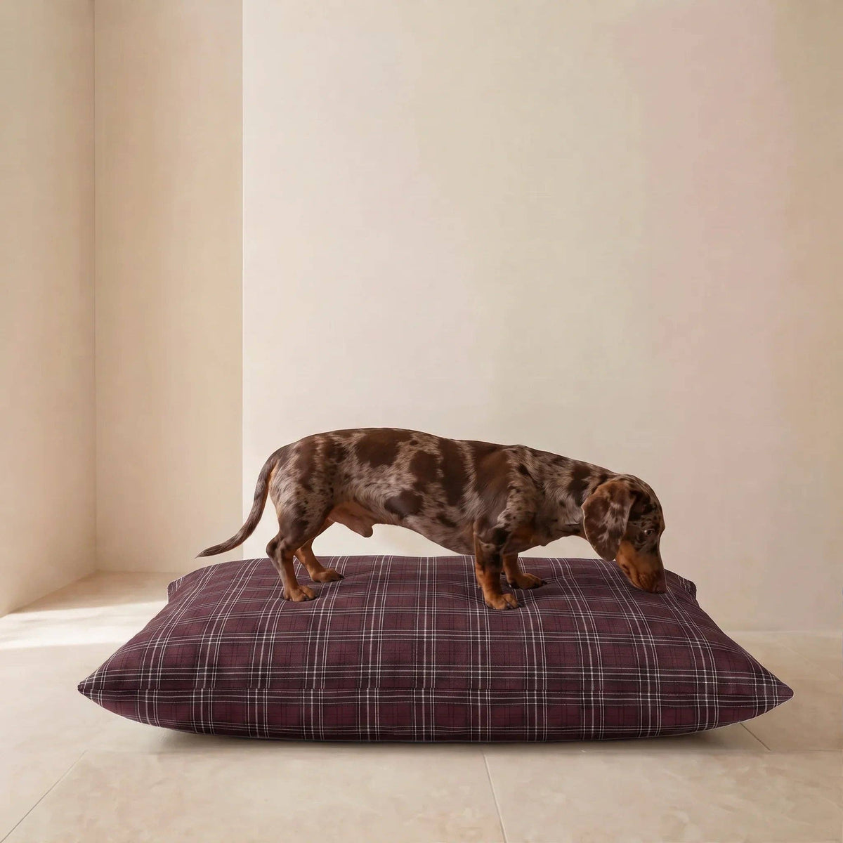 Hondenbed Borro