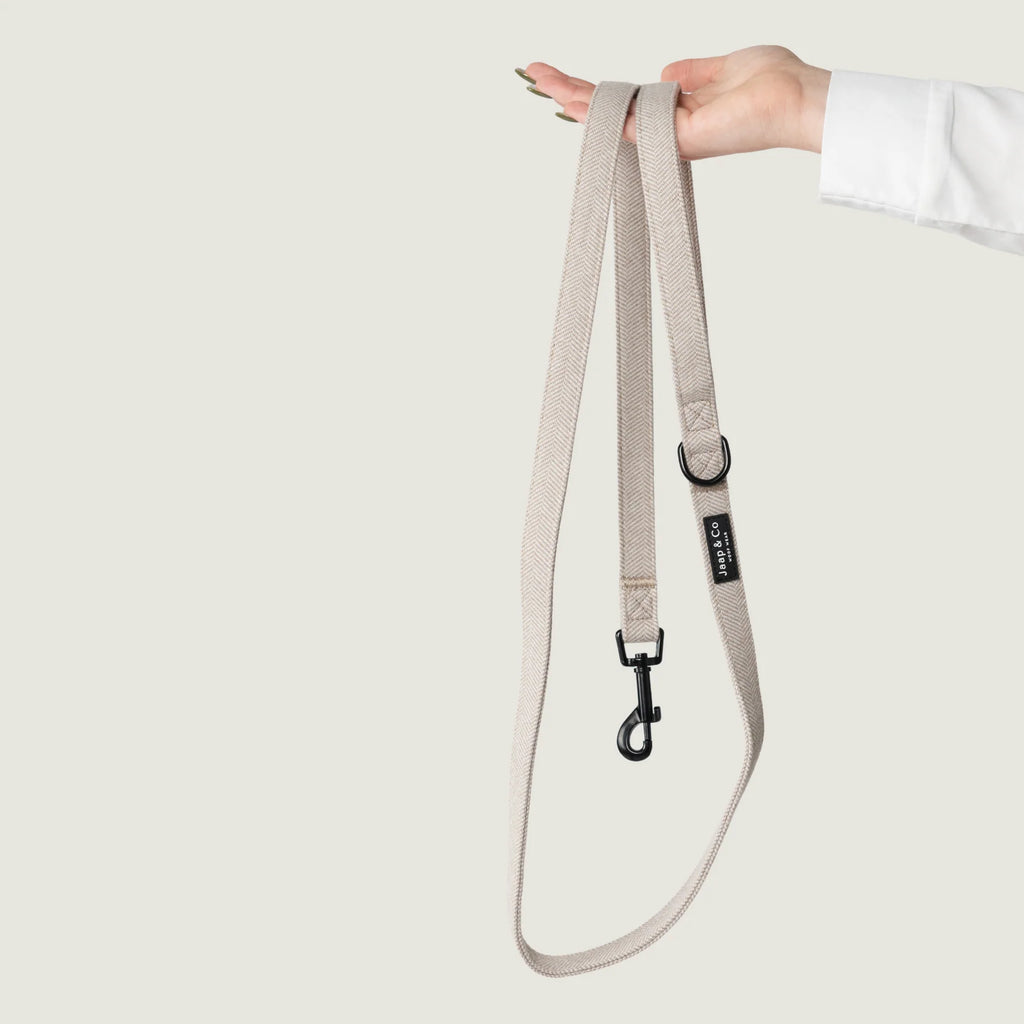 Classic beige hondenriem