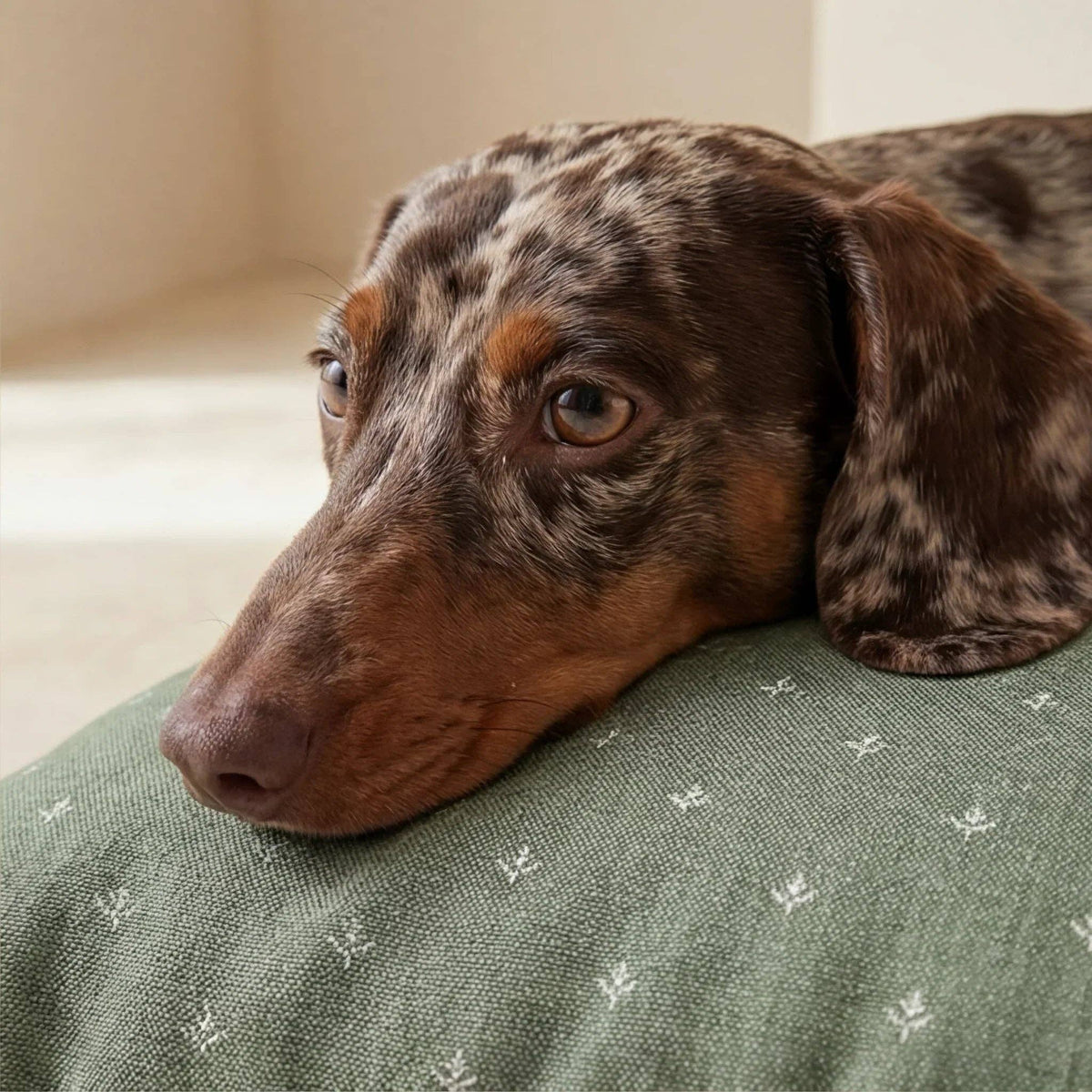 Hondenbed Sofie