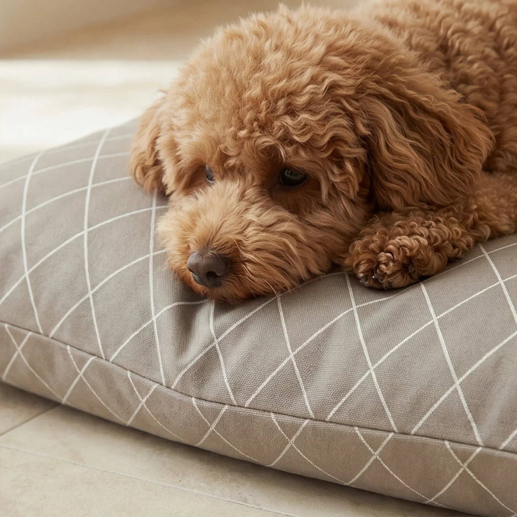 Hondenbed bed bella