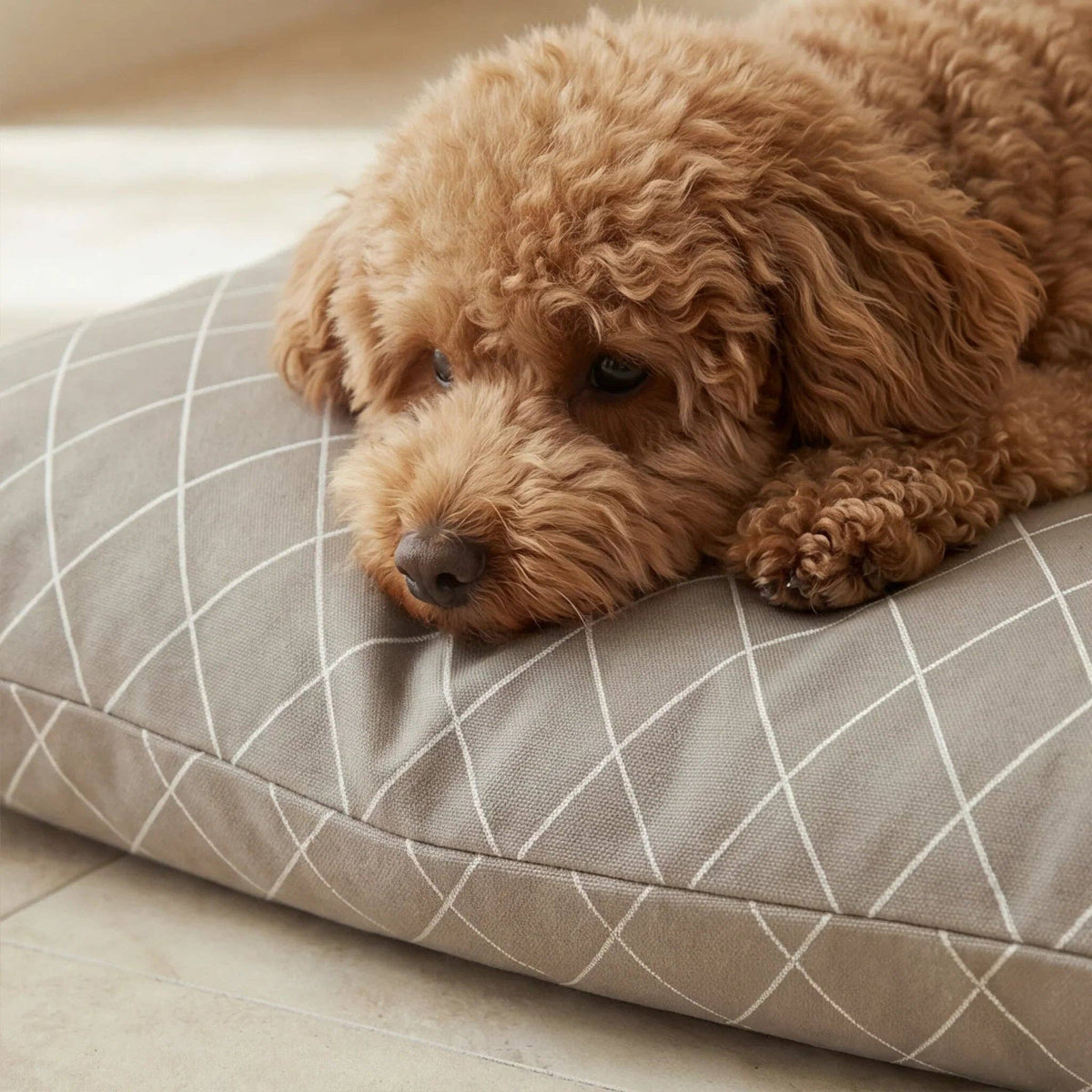 Hondenbed bed bella