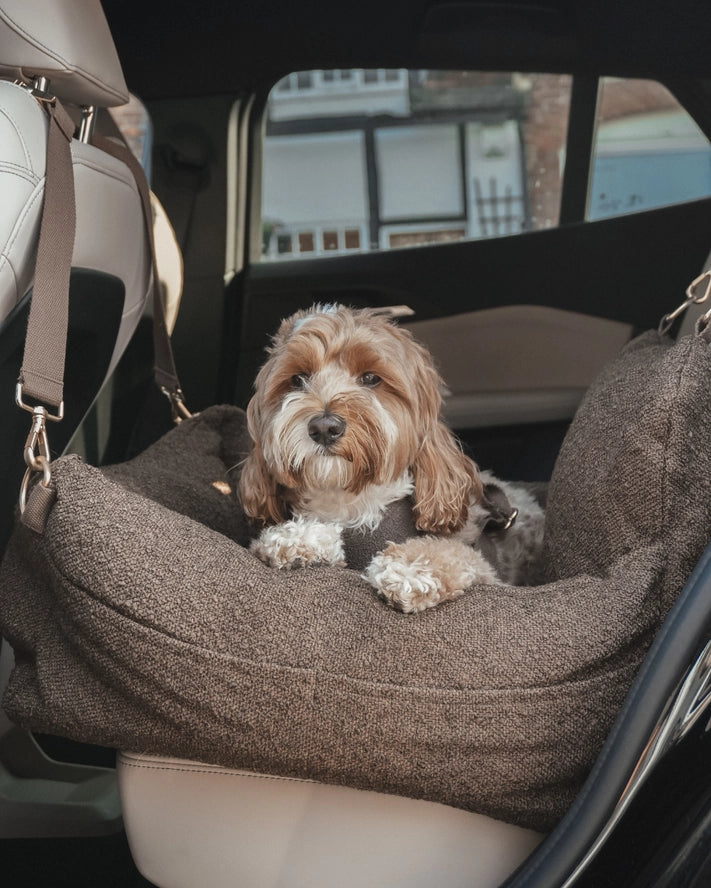 Boucle autostoel teddy