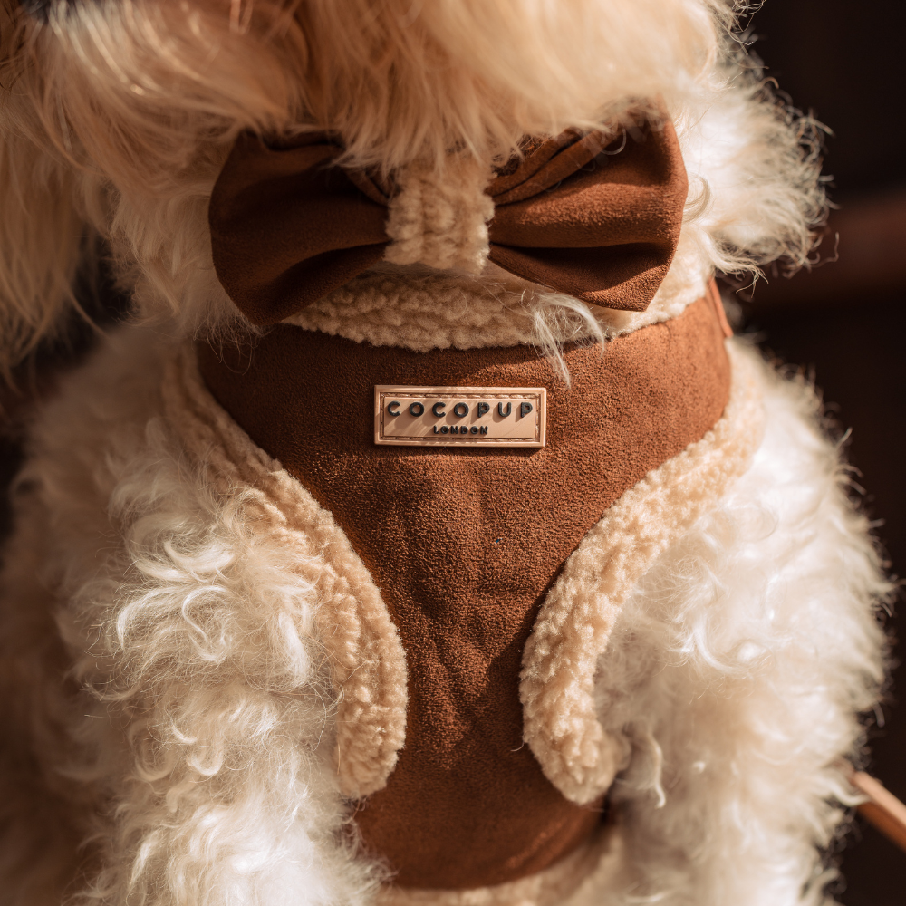 Cocopup Suede tuigje