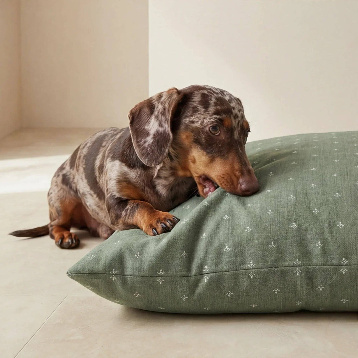 Hondenbed Sofie