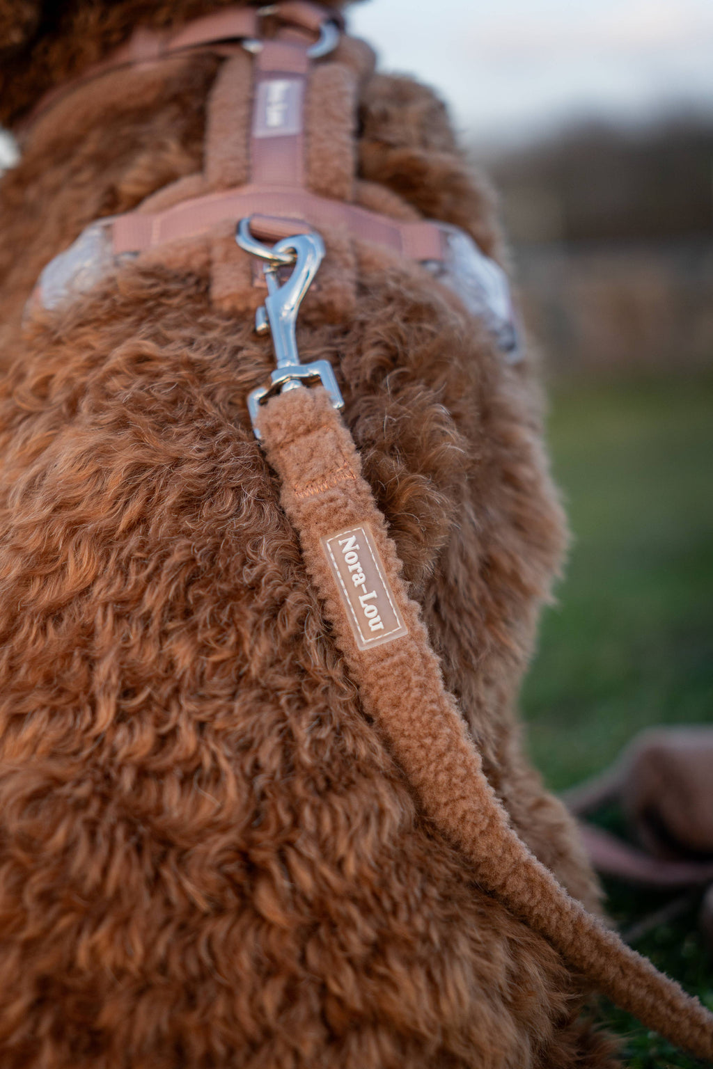 Nora-Lou Leiband Teddy Bruin